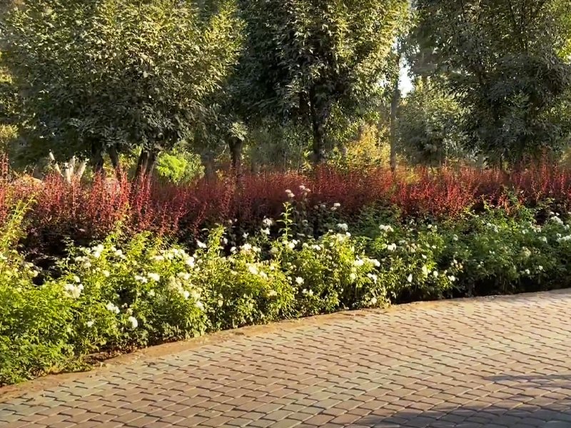 گلخانه های کرج